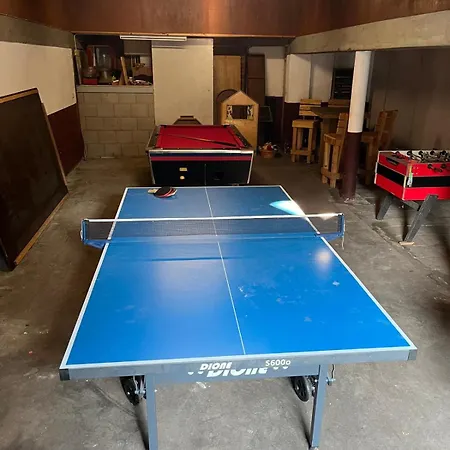 Steenuil * 多廷赫姆