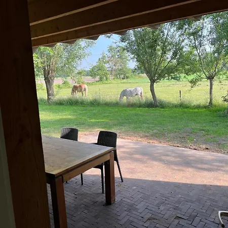 Vakantiehuis Steenuil