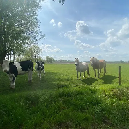 Vakantiehuis Steenuil *