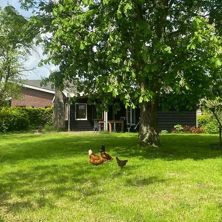 Vakantiehuis Steenuil