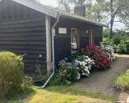 Steenuil * Doetinchem