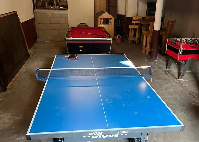 Steenuil * Doetinchem