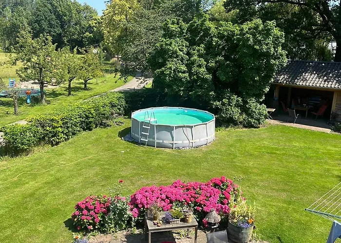 Steenuil * Doetinchem