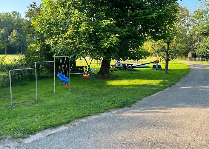 Steenuil * Doetinchem