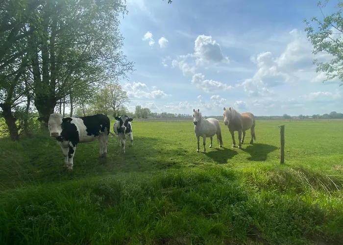 Сasa de vacaciones Steenuil *