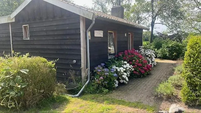 Steenuil * Doetinchem